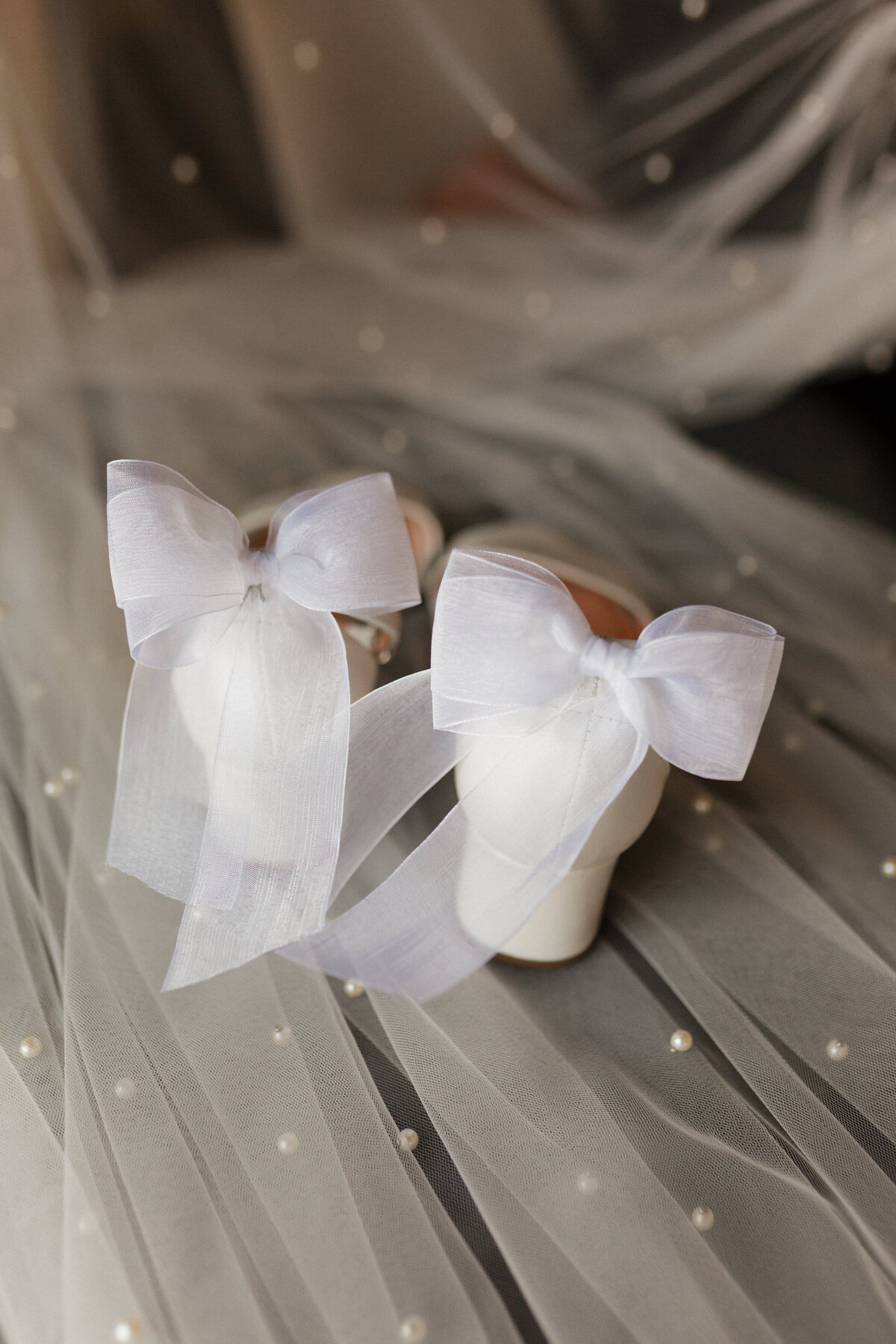 tecumseh-beachgrove-wedding-photos005