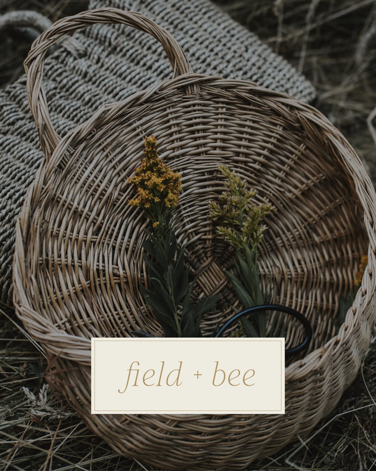 Field+Bee_LaunchGraphics_Instagram95