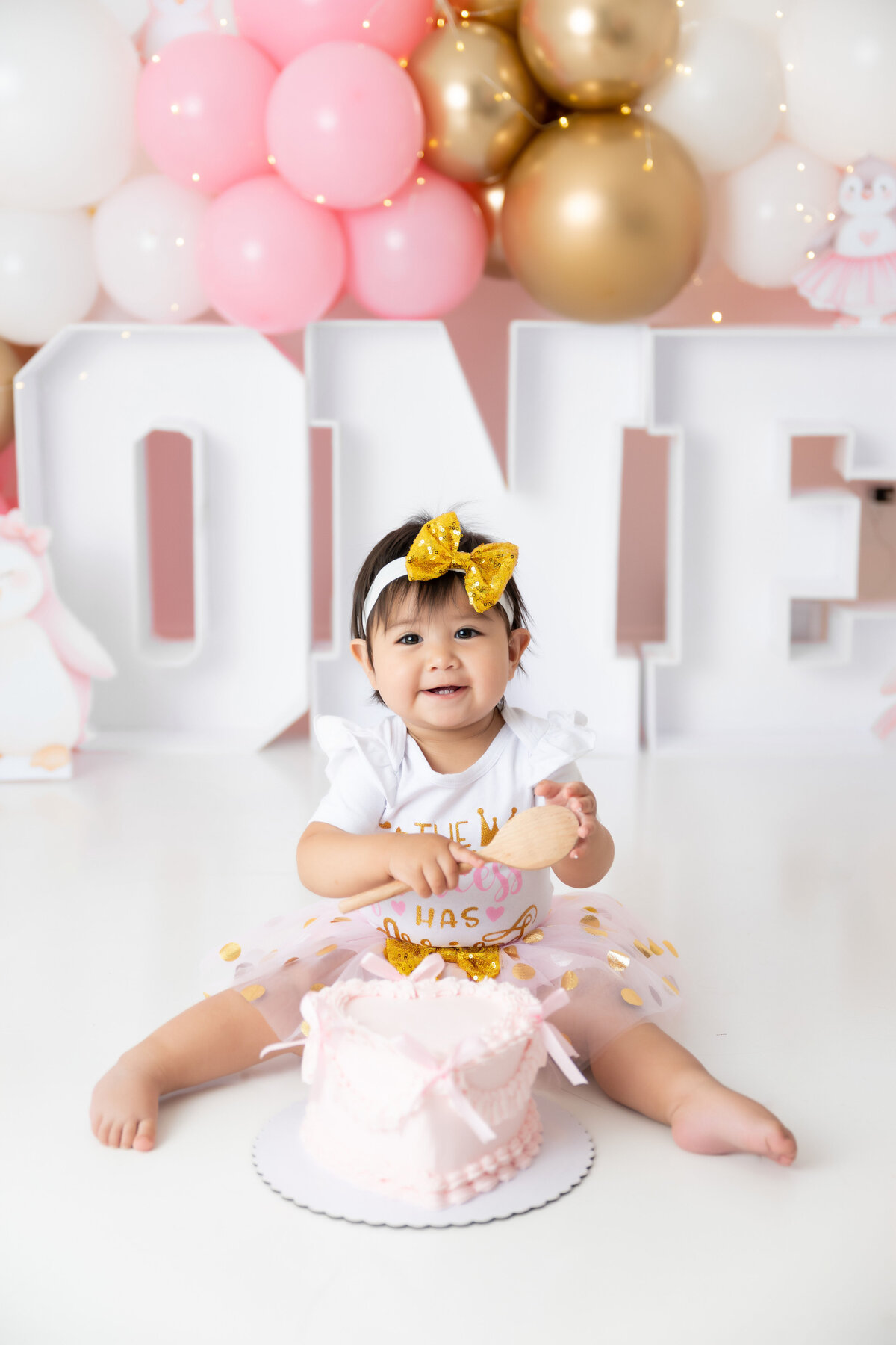 Chicago-Cake-Smash-Photographer-5002