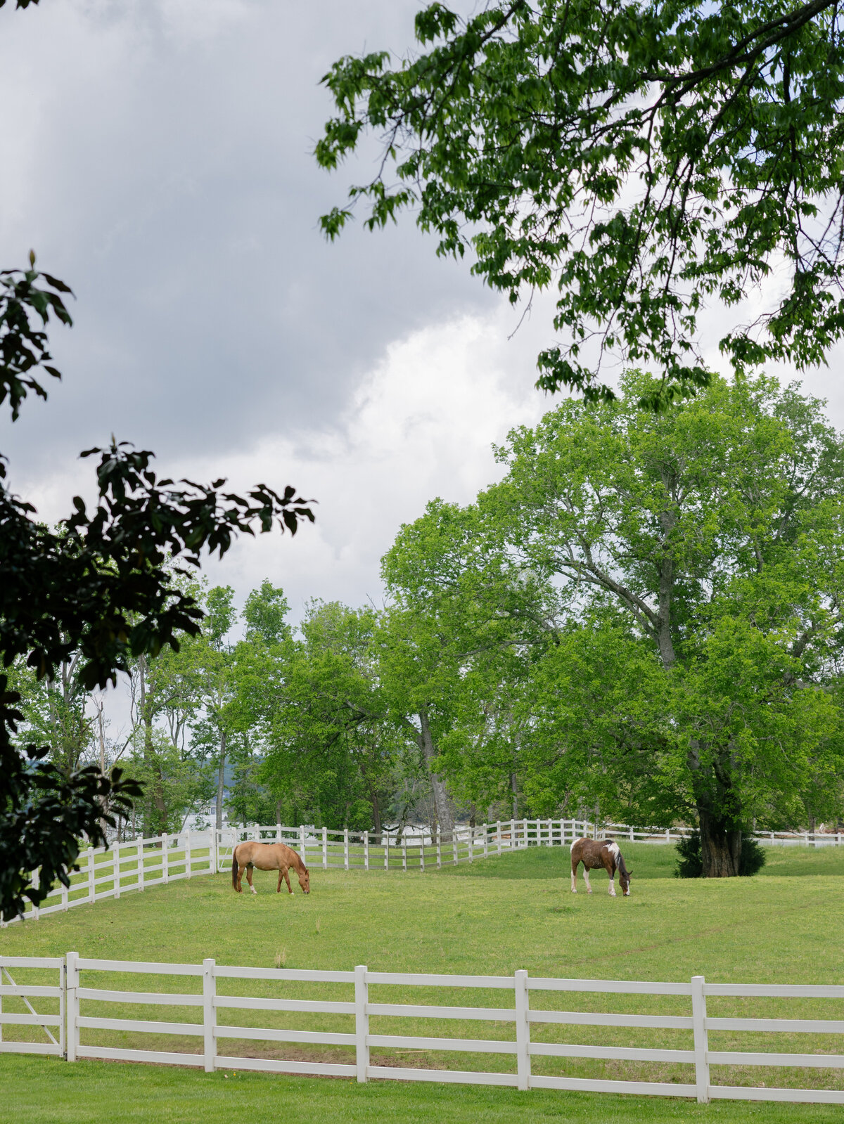 Gracin_Tom_Wedding_Marblegate_Abigail_Malone_Photography-238