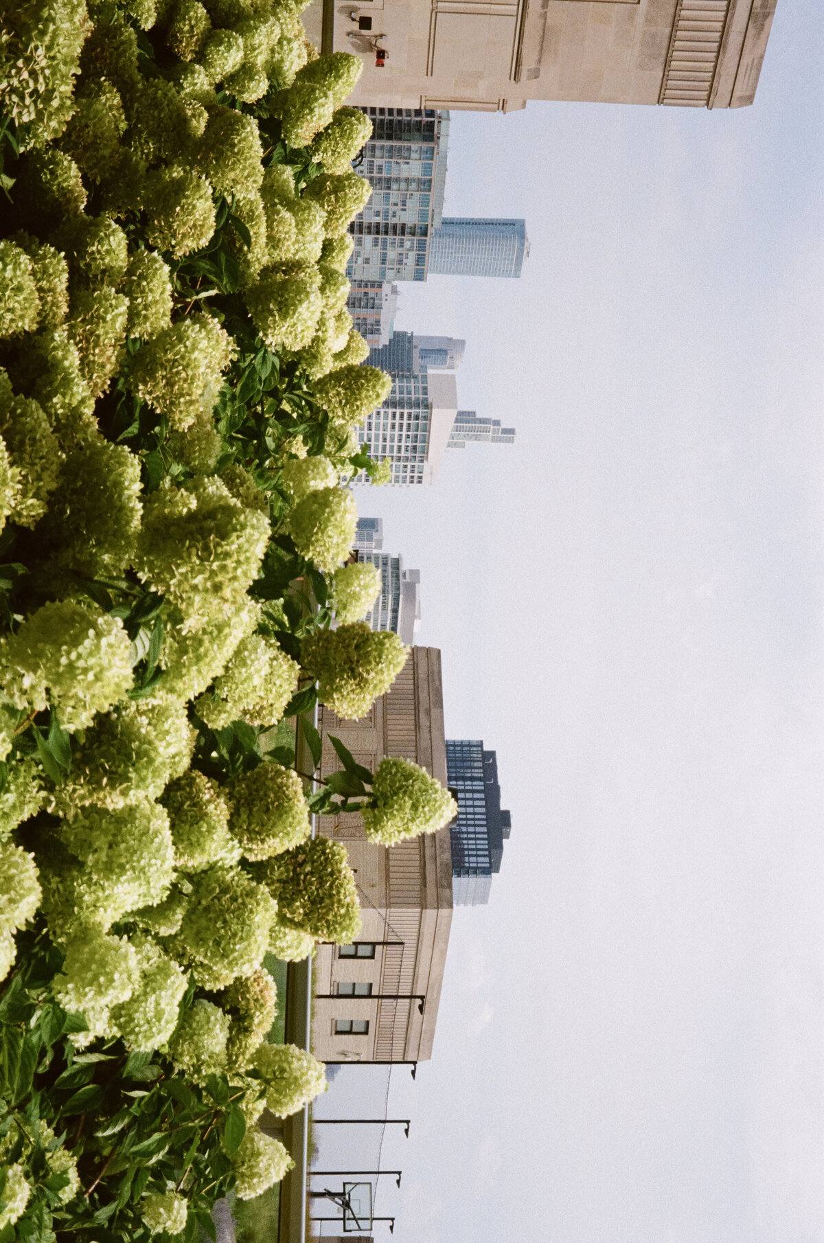 Fashion forward editorial wedding photography showcases ceremony elegance at Old Post Office Chicago, featuring Lauren Alatriste's sophisticated approach combining magazine-worthy aesthetics with architectural grandeur and authentic wedding emotion.