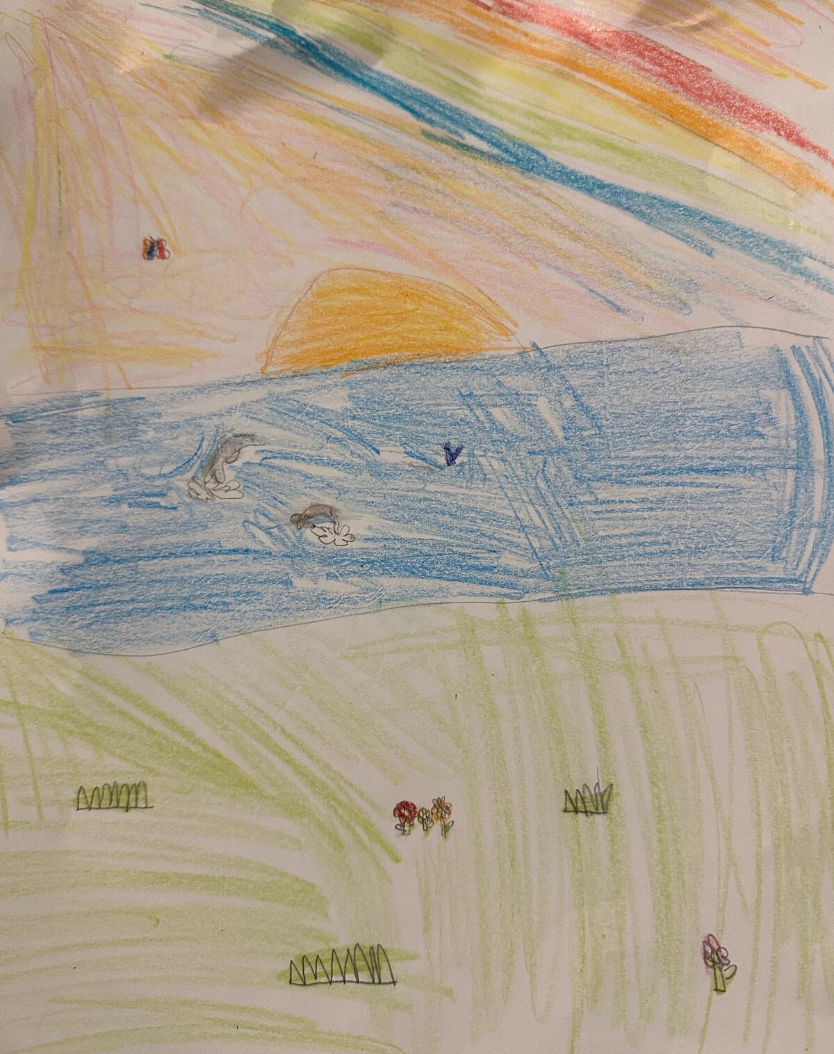 image0 (14)