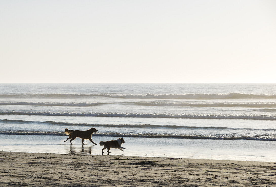 beach-action-photo-example