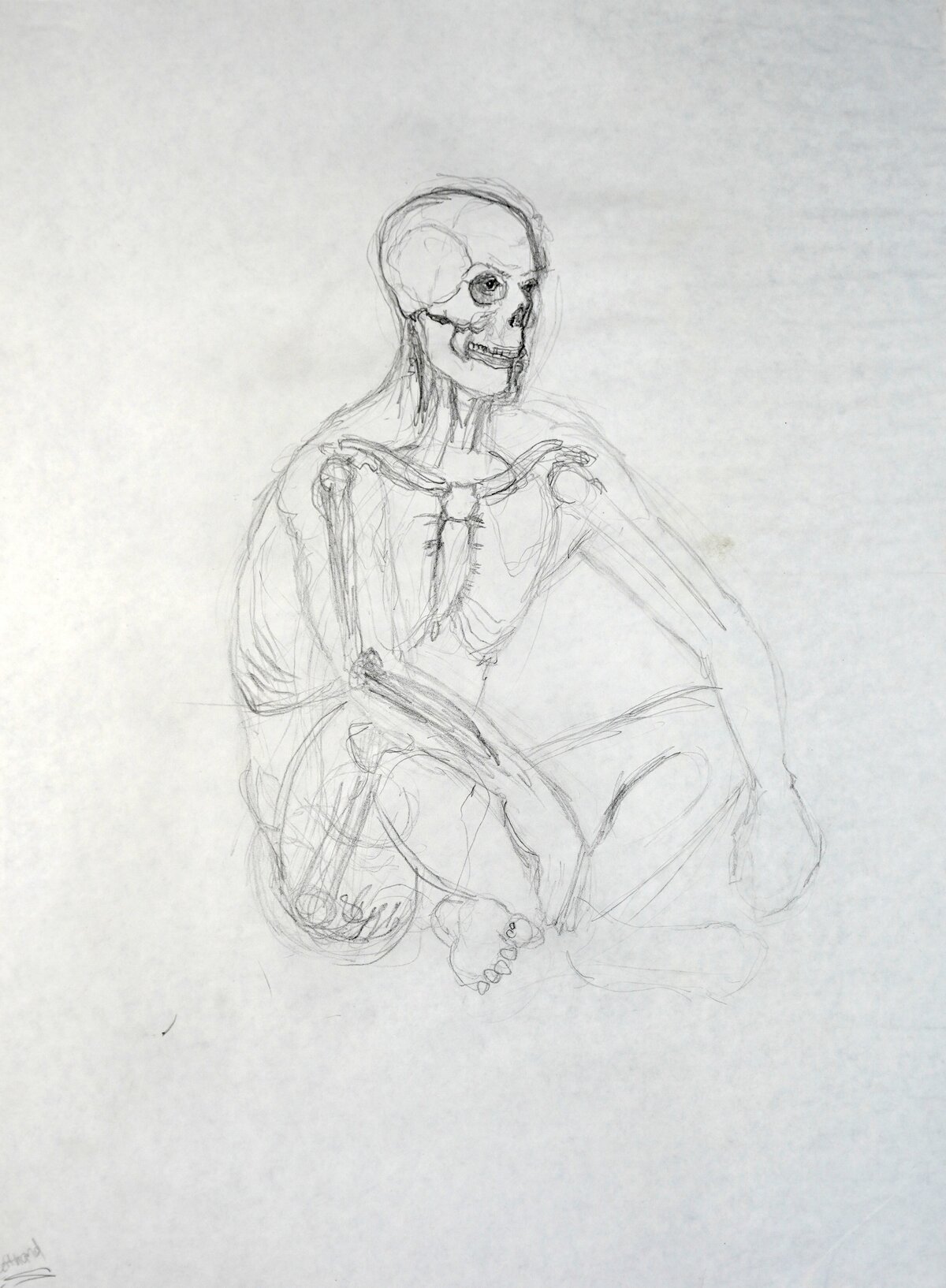 Brent Ray Fraser Anatomical Drawings 2001 - 09