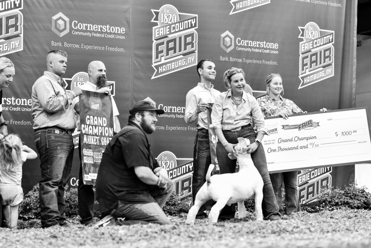 livestock photography