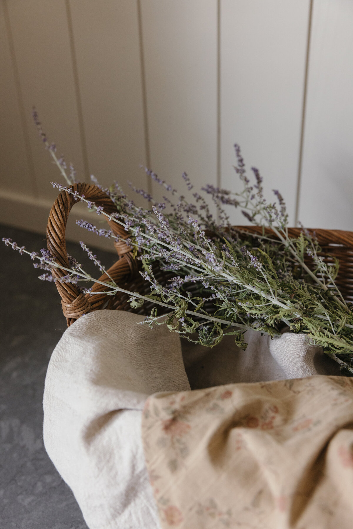 Interior Design Website Designer - Best Web Designer for Interior Designers - Showit Website Templates for Interior Designers - Flodesk Newsletter Templates - Canva Instagram Templates - Coastal Template Co - 41