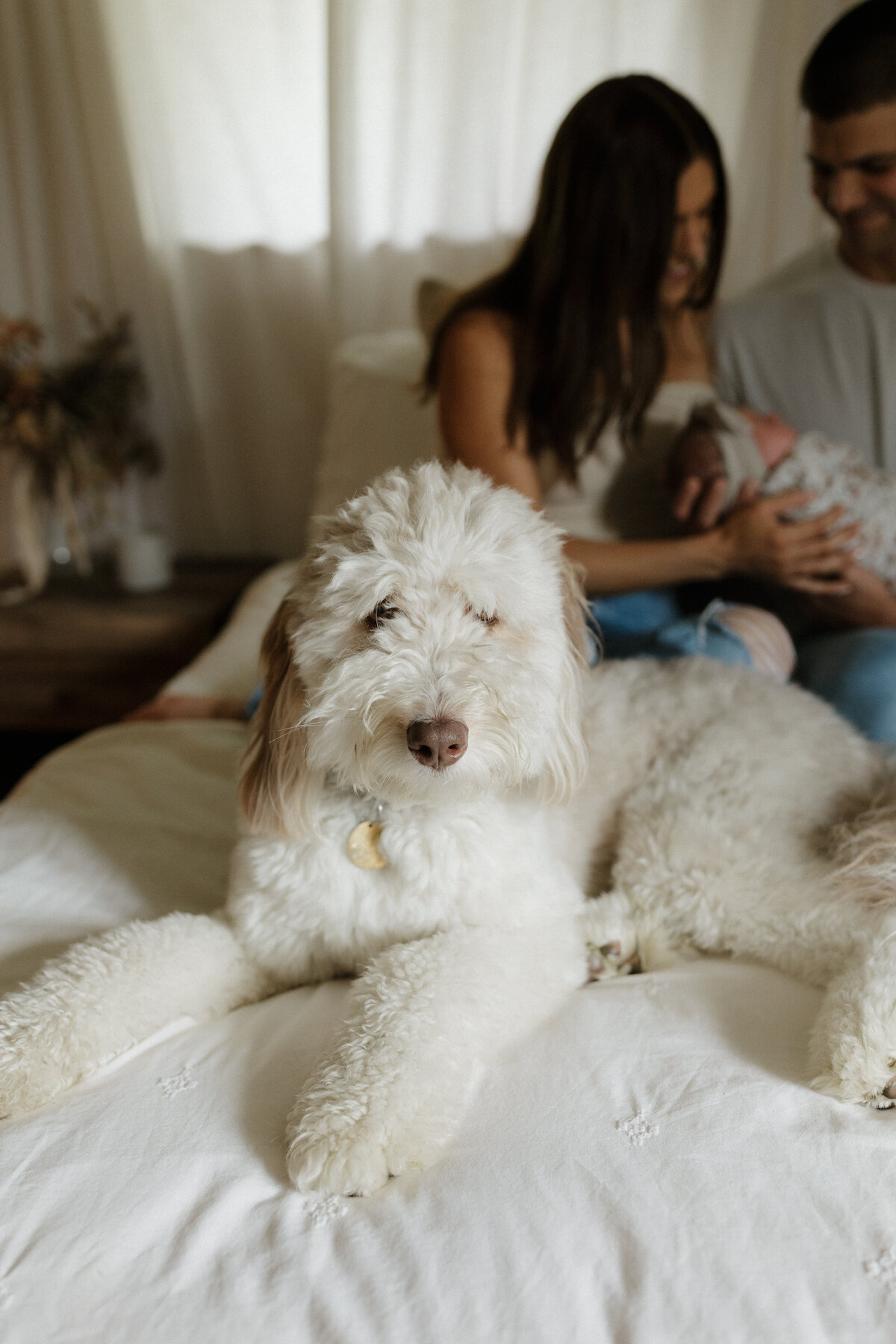 Indianapolis lifestyle family photography with pet and baby