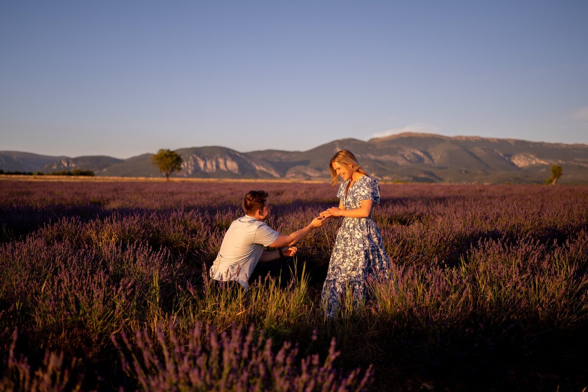 Provence_Proposal_Lavender-Valensole_0007