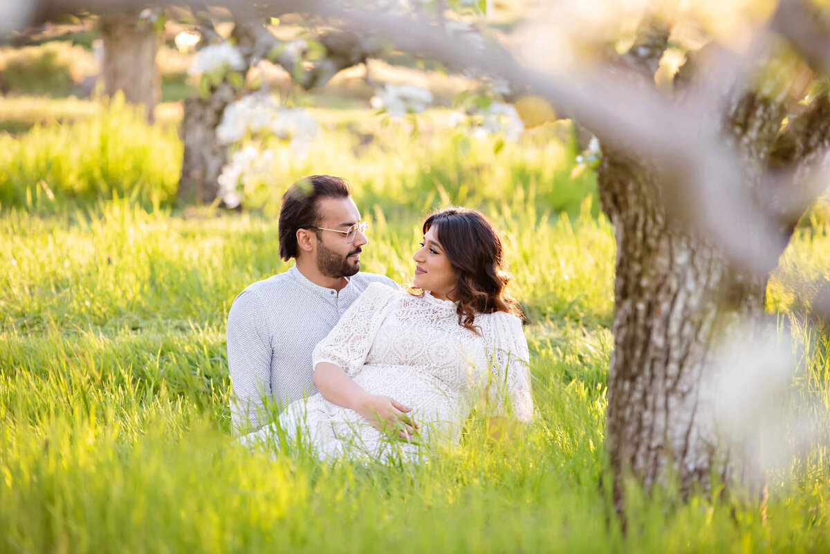 husband and pregnant wife sitting on the ground in a cherry blossom field for her outdoor maternity photography session in Burlington, Ontario