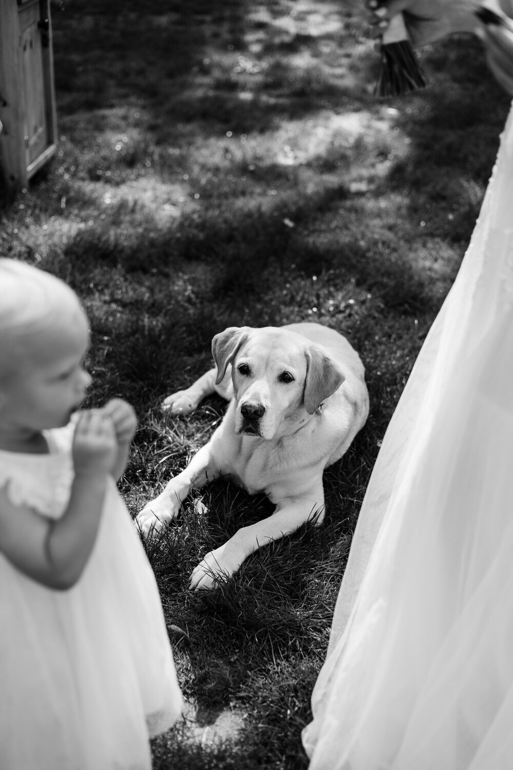 marketa-zyka-svatebni-fotografka-elopement-na-sumave20