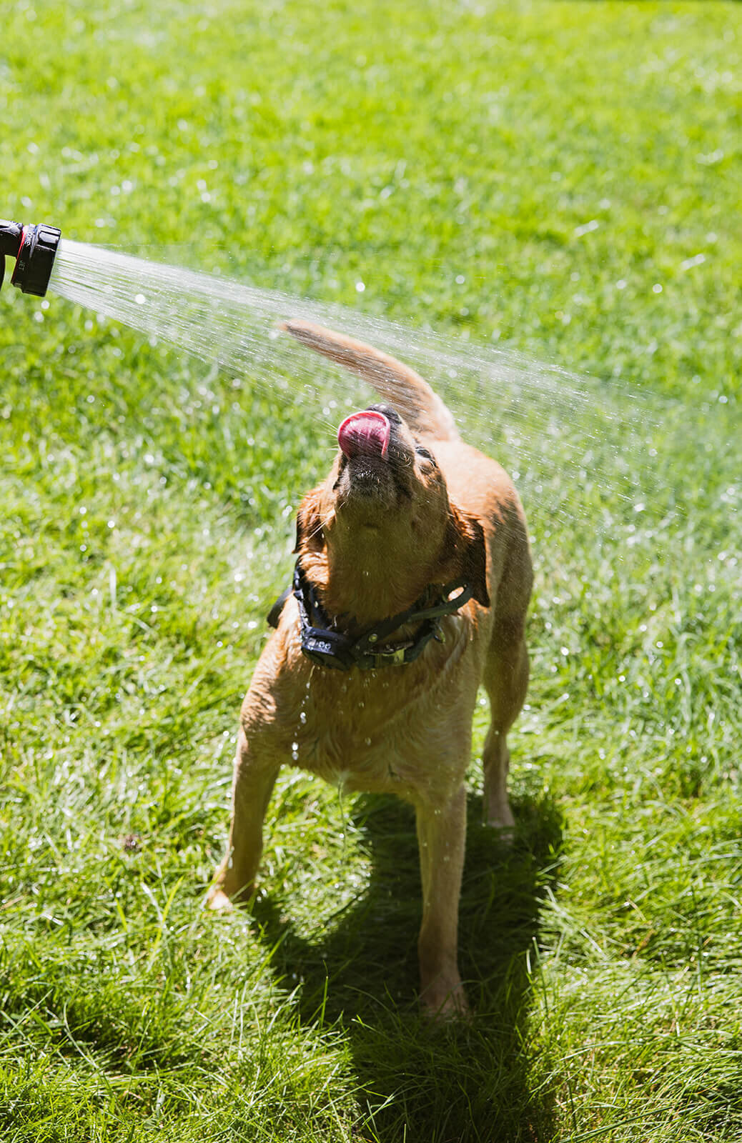 Makayla Maya Nia-Group-3099