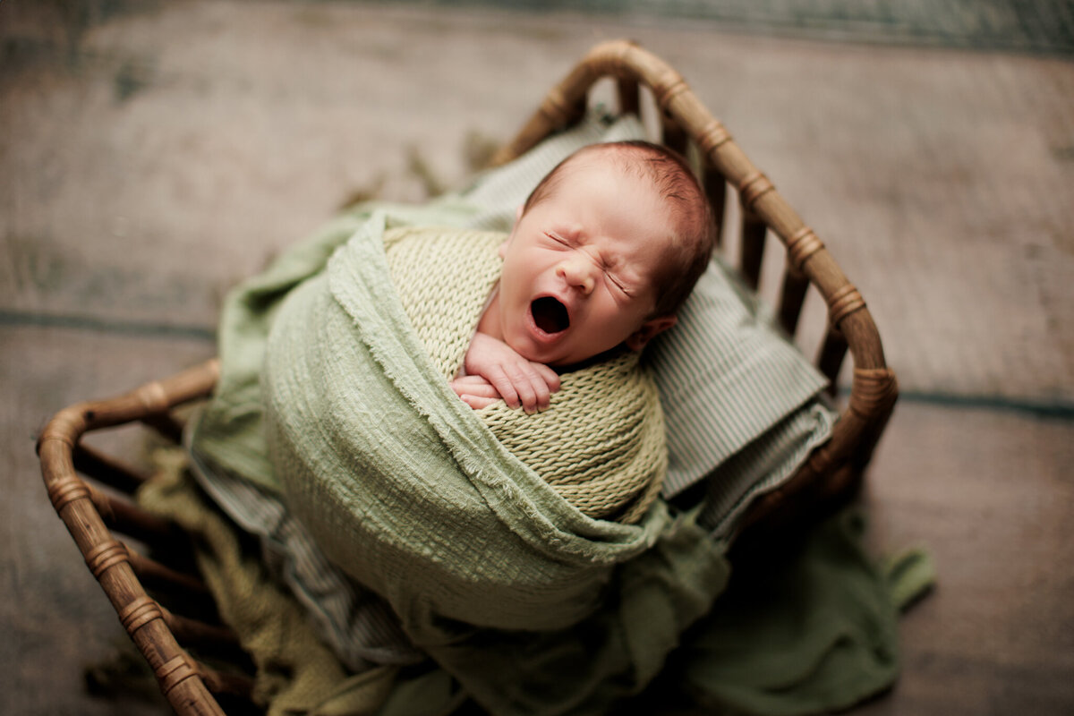 newborn photography NW Arkansas, best newborn portraits NW Arkansas
