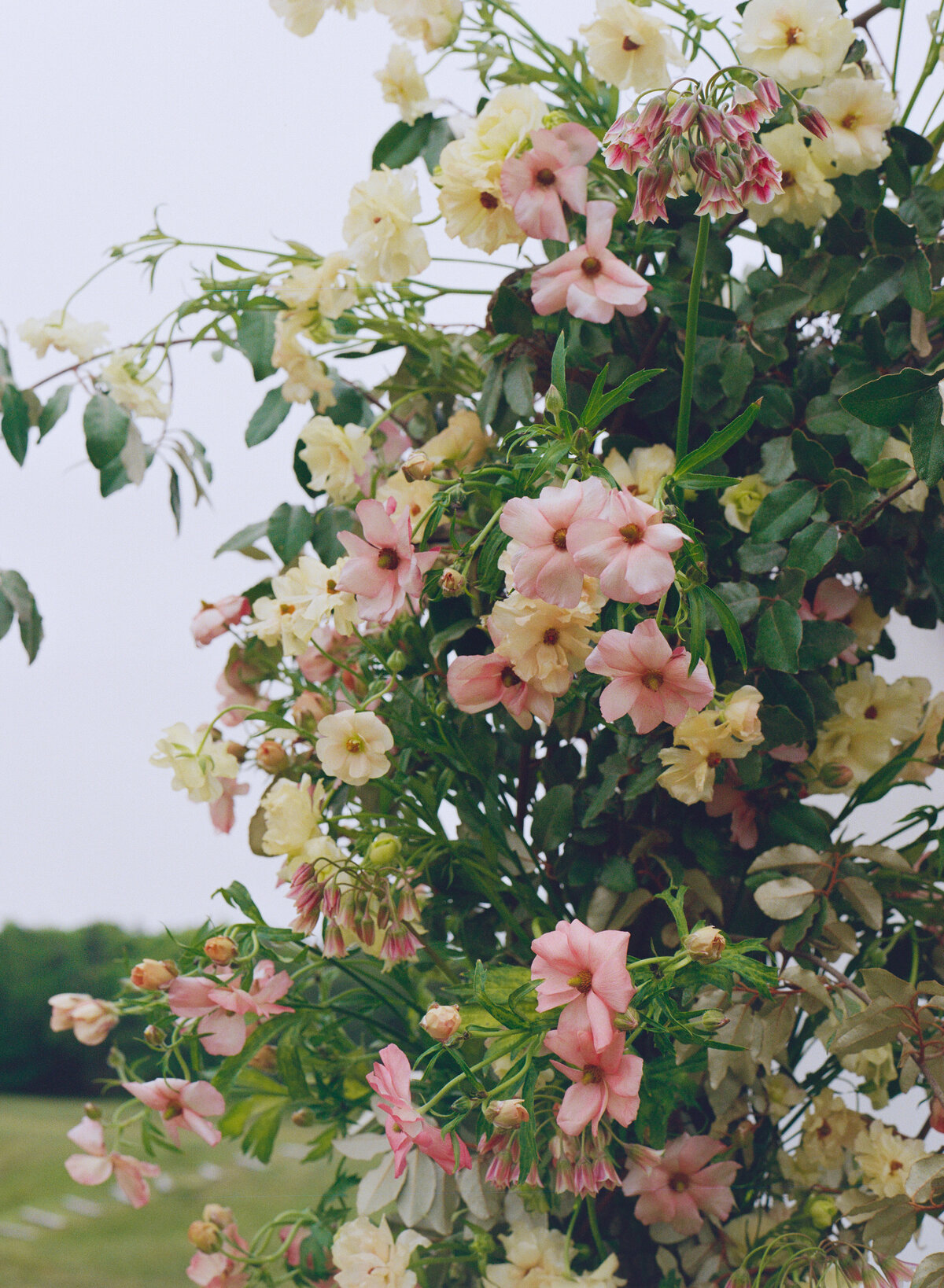 Martha’s Vineyard Wedding Photographer _ Film Wedding Photographer _ Olivia + Coby 06_06_25 _ Winnetu Wedding Photographer _ Castillo Holliday Photo + Film-052