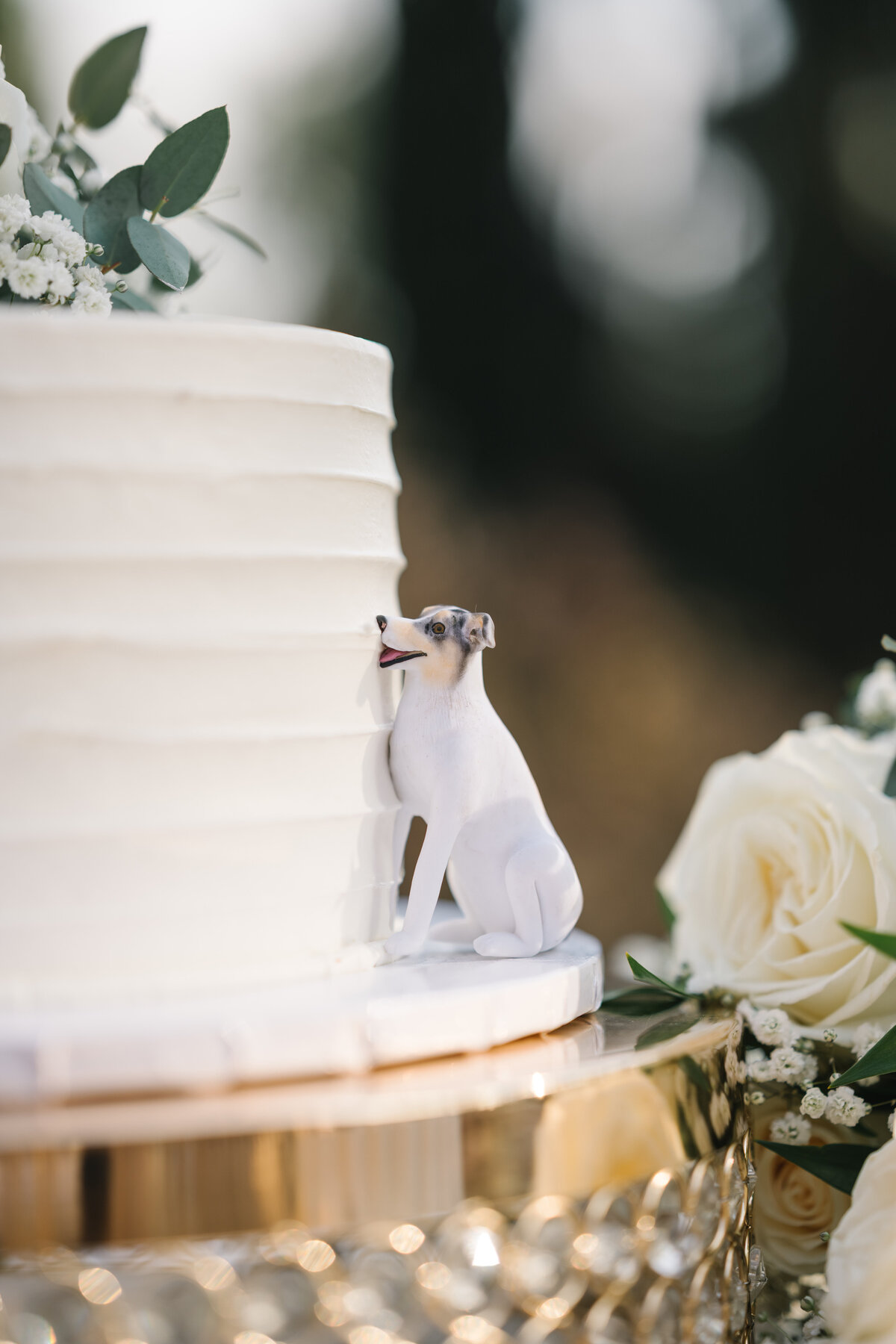 044.DSC_1556_Rita.Nathan