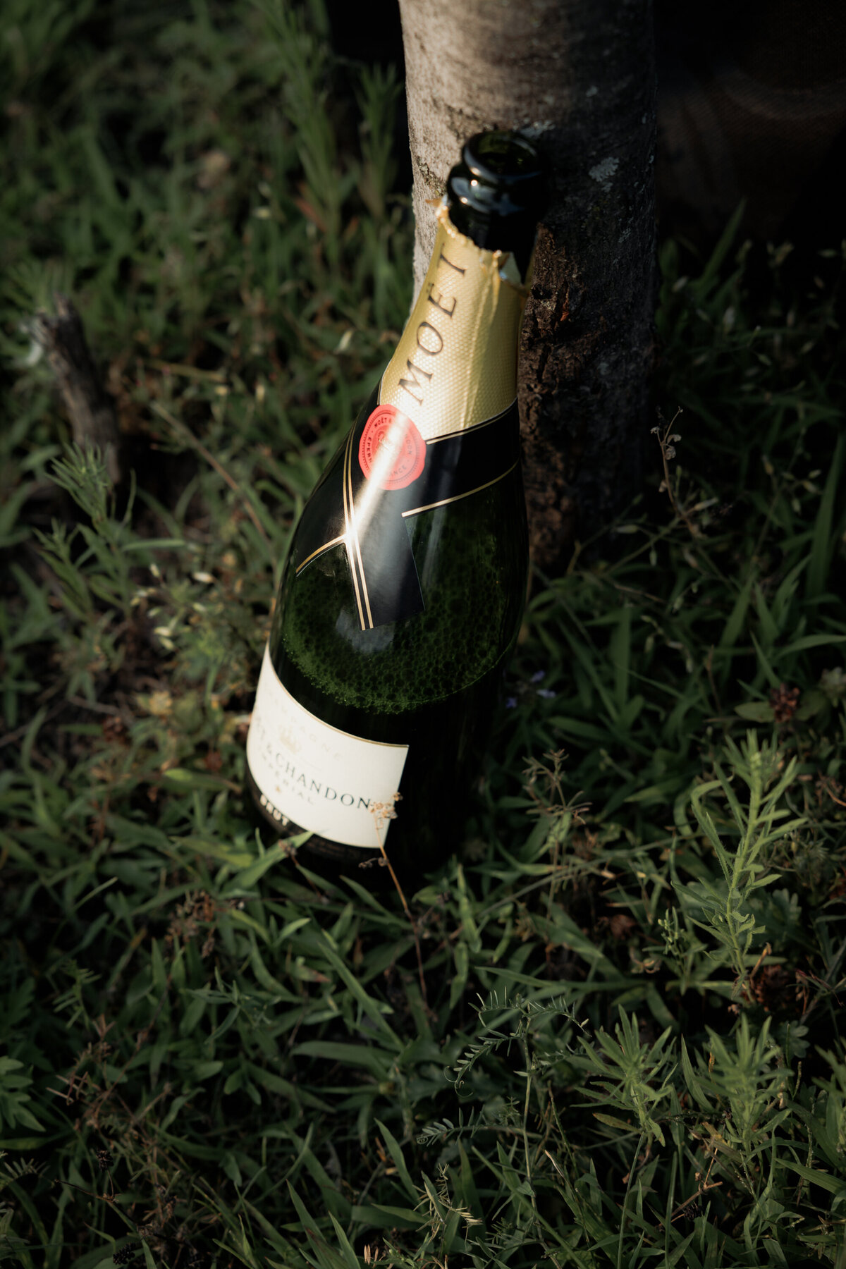 BlanPhotos mariage Bouteille de champagne Moet Et Chandon