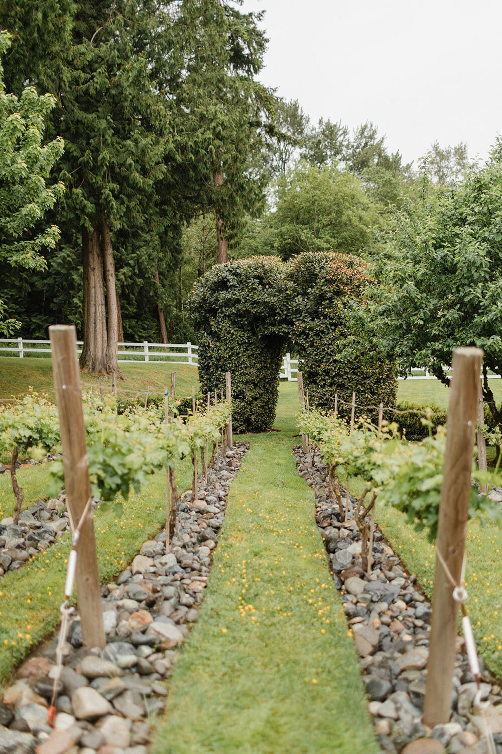 Garden area at Chateau Lill
