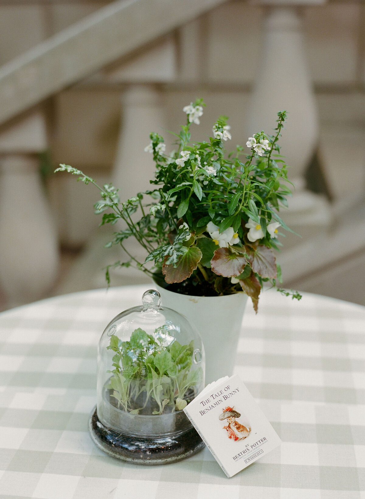 Special-Event-Planner-Childrens-Birthday-Party363