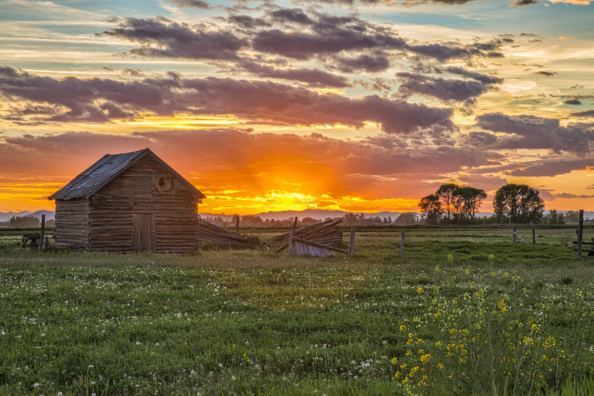 2017-05-22-0983-4-lyman-cabin
