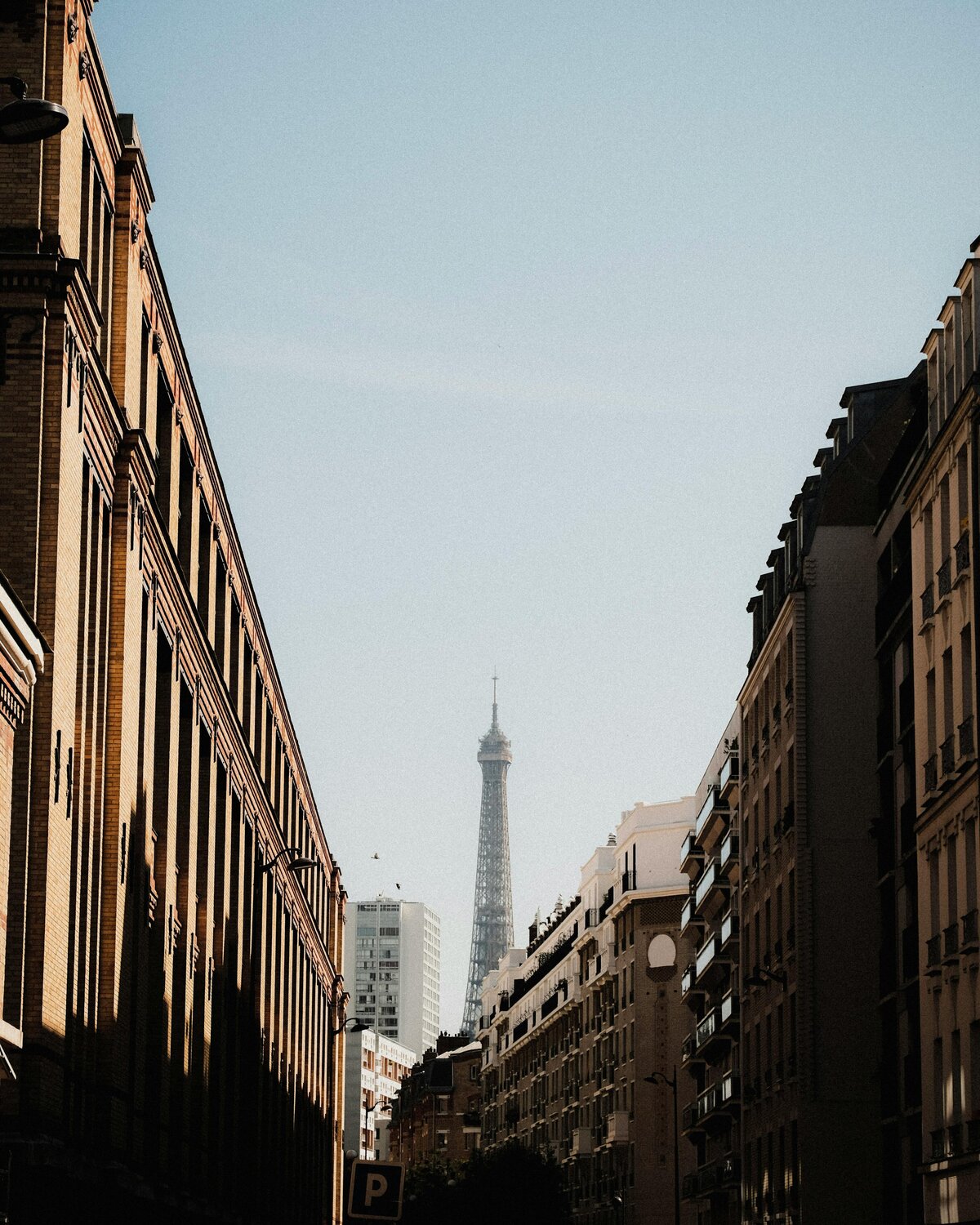 pexels-matreding-12519379