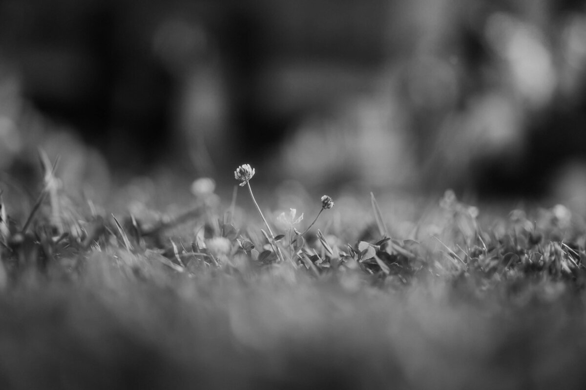 Roberto Panciatici Photography79