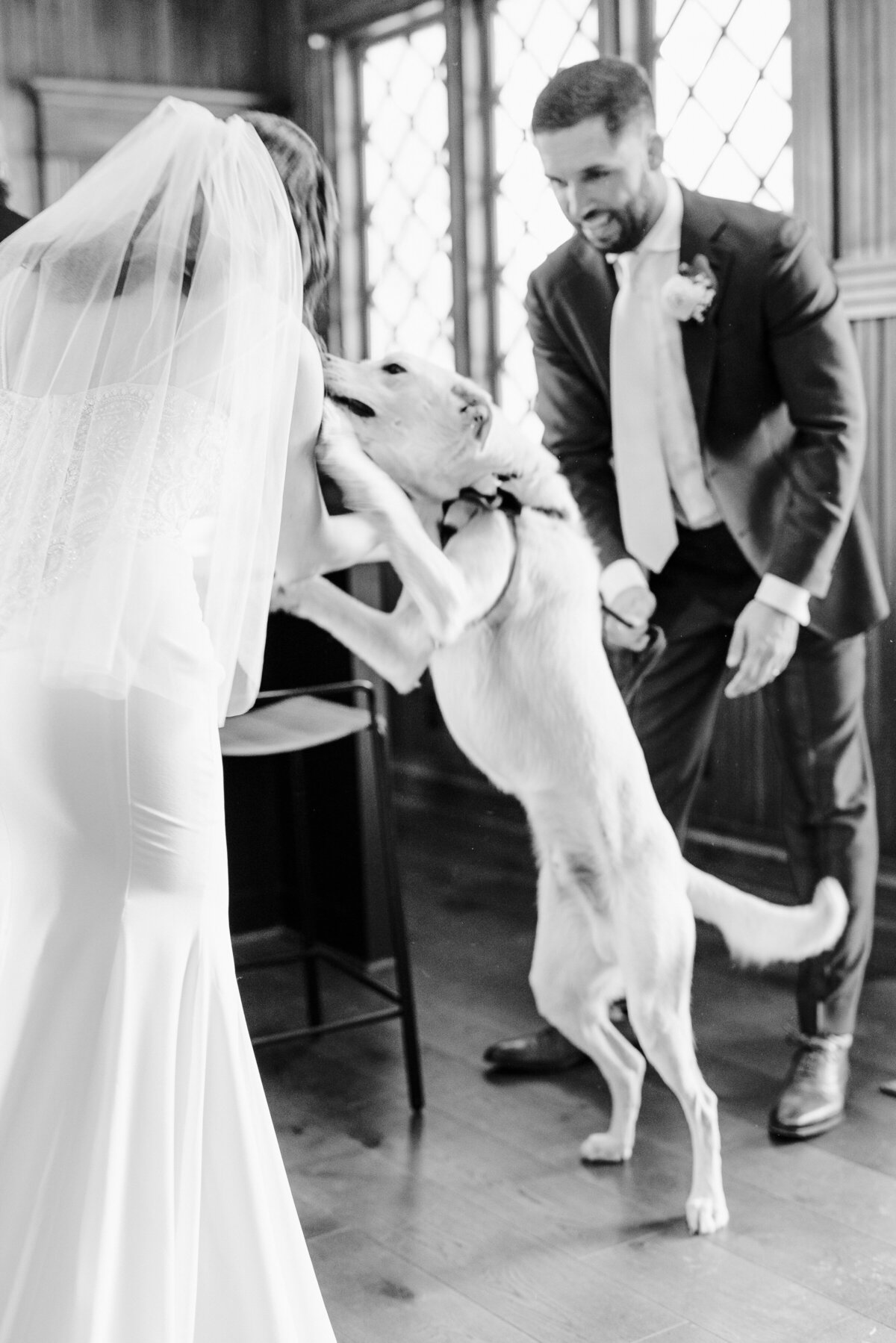 Bride and groom with their dog at their Grand Lady Austin wedding