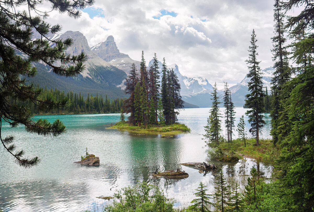 LANDSCAPE_2024_SpiritIsland_Shelby Finkelstein
