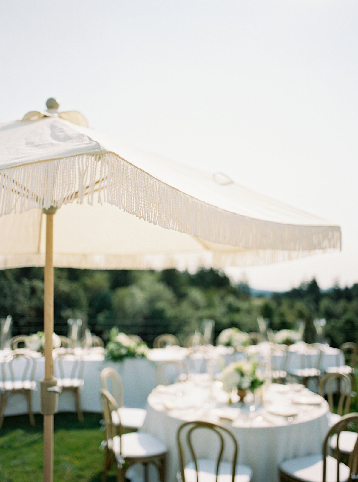 wedding-at-oswego-hills-vineyard-winery-portland-oregon-by-the-tenneys-photography-17