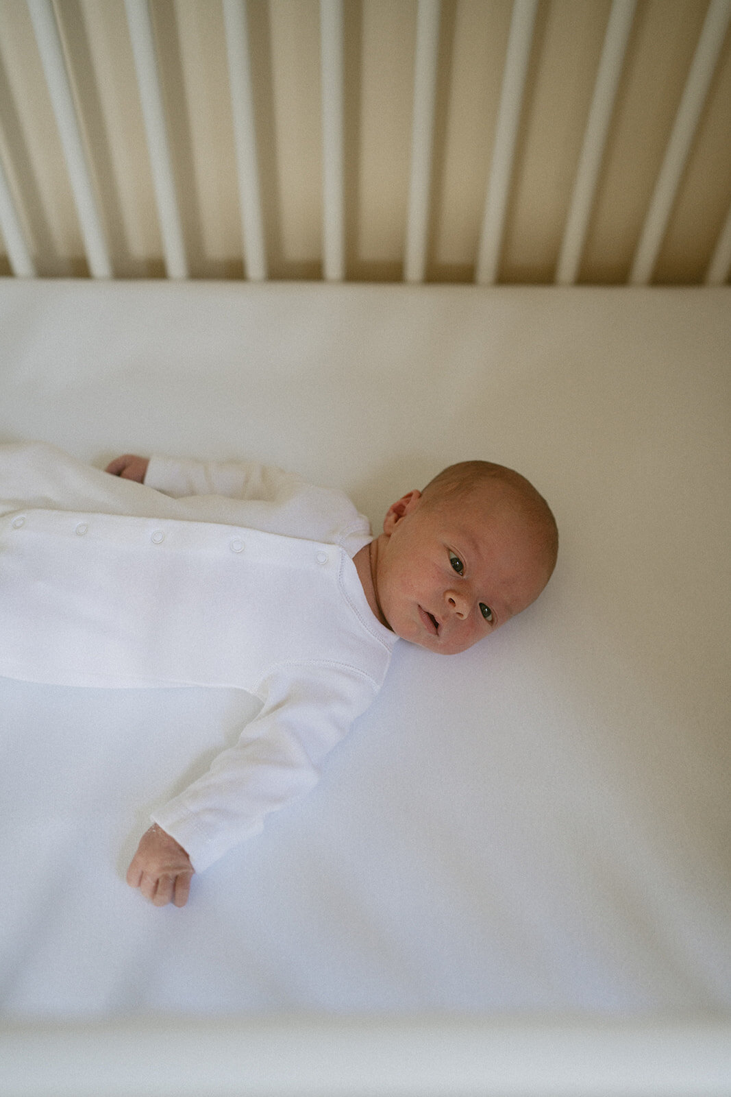 MBP-HBnewborn-2_websize