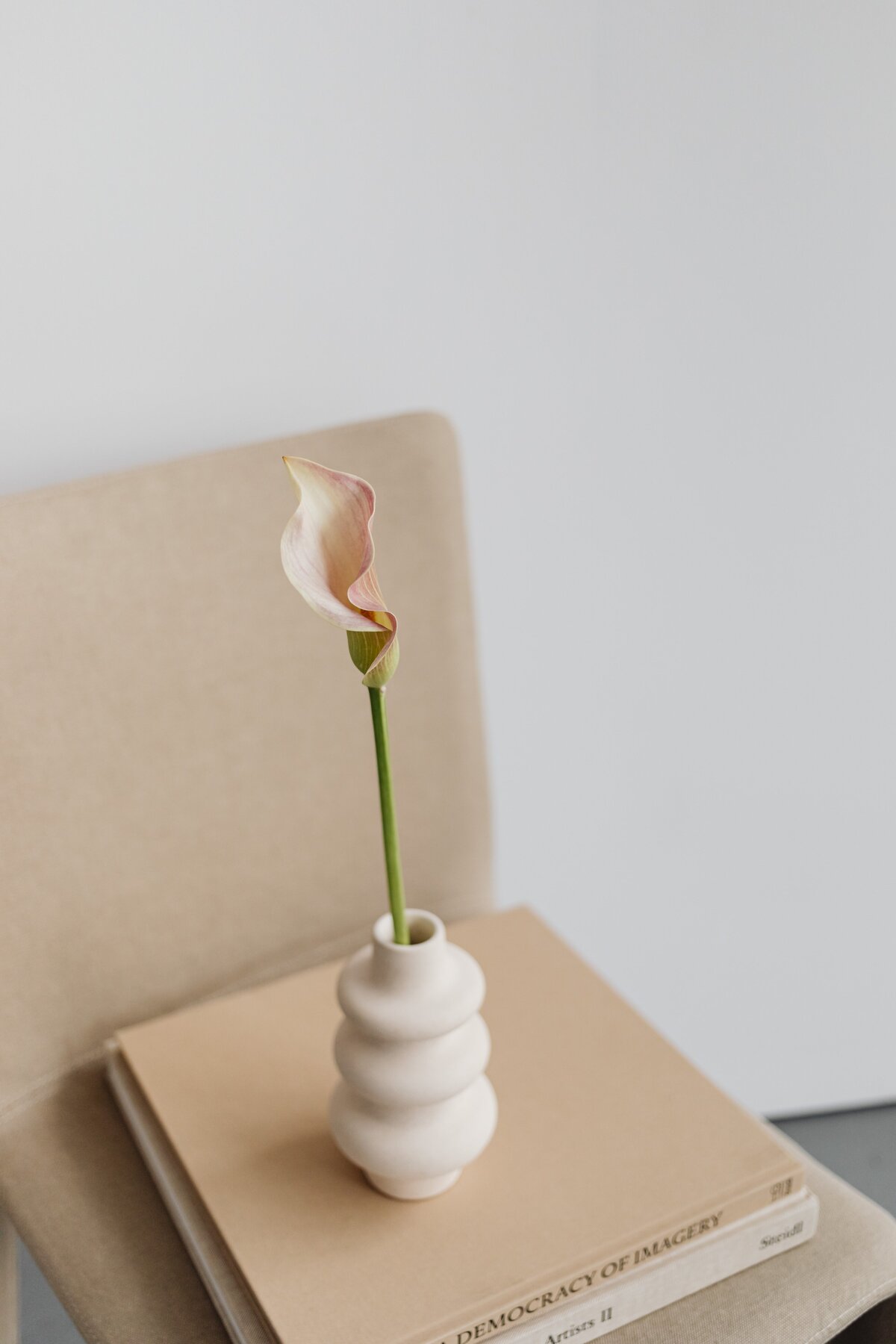 pexels-karolina-grabowska-7602822