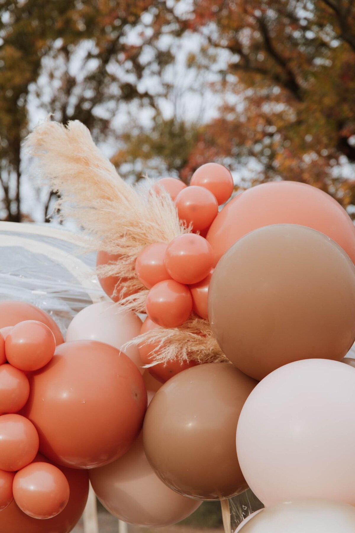 cherry-hill-fall-picnic-04
