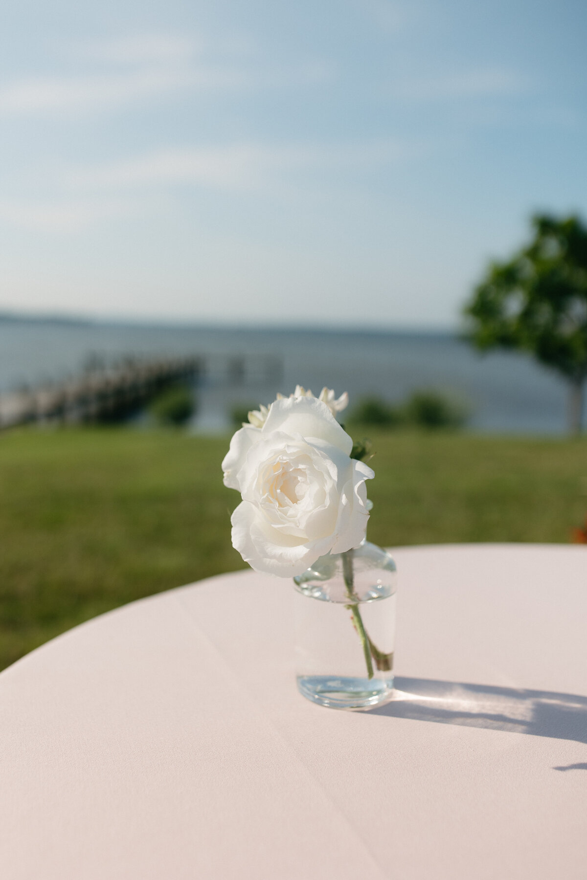 harringtononthebay-77