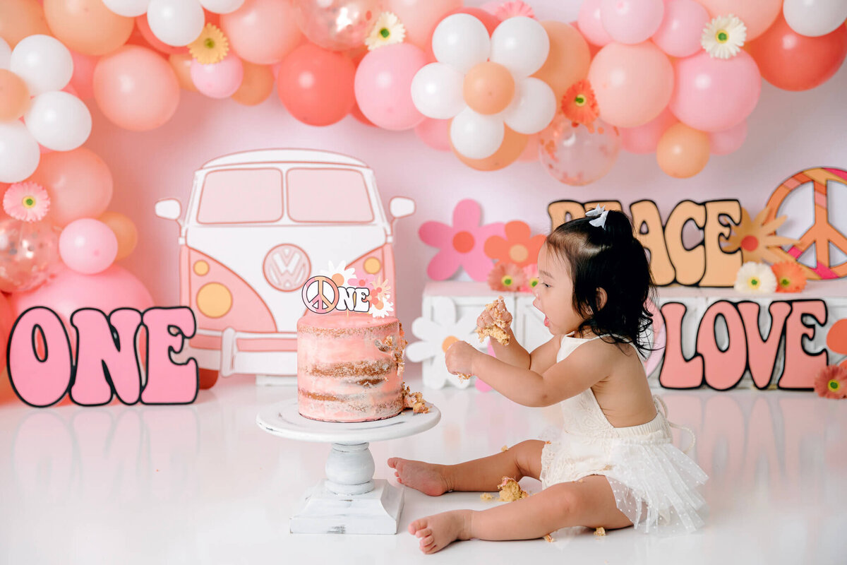 new-jersey-smash-cake-photographer-78