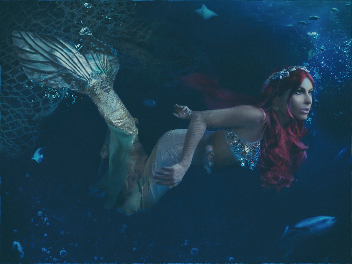 Mermaid under the sea 