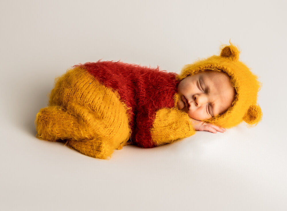 winnie the pooh baby photo
