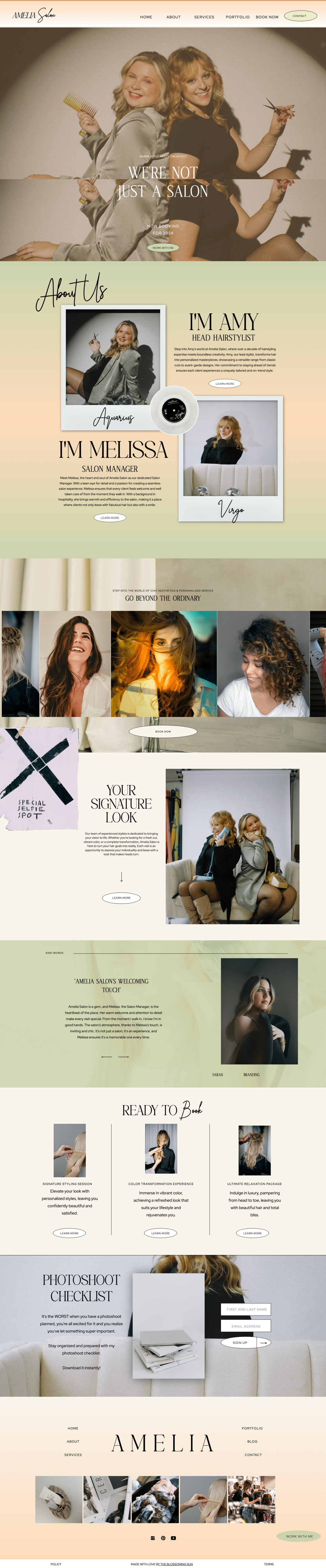screencapture diana template customization amelia salon-min