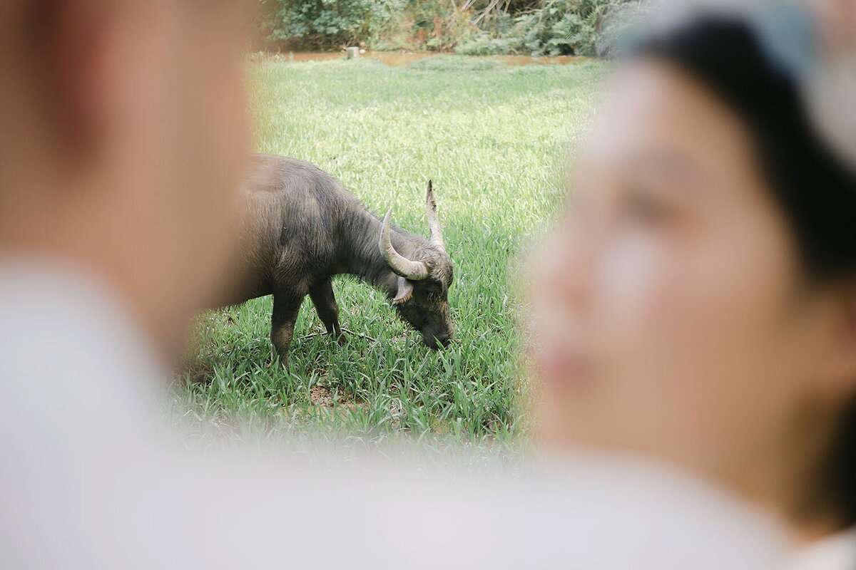 destination-wedding-vietnam-24
