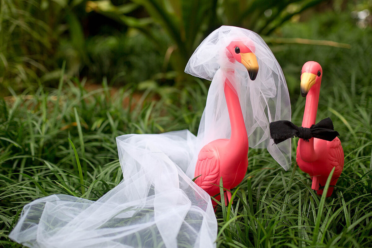Flamingo-Bride-Groom-South-Florida-Wedding-Photographer