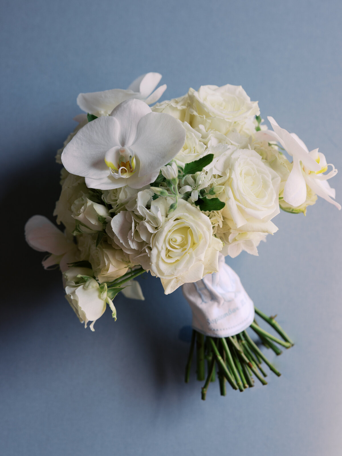 Heidi and Dan-Abigail Malone-005