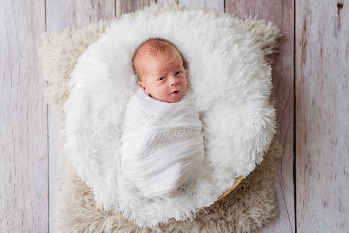 highlands-ranch-new-baby-in-home-session-fluffly-bowl