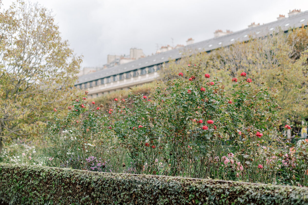 paris-wedding-photographer-hhp-123