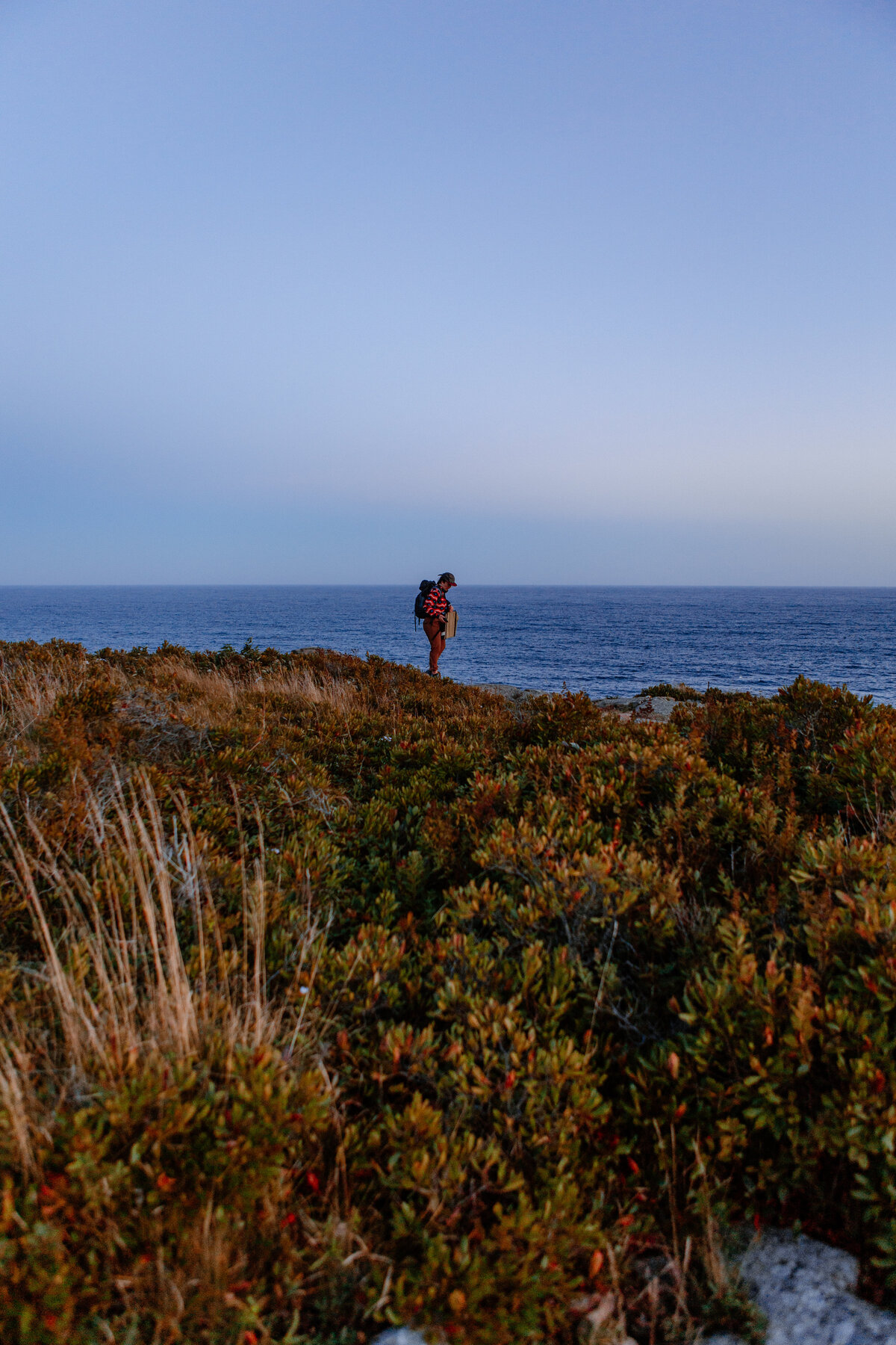 Acadia Elopement Portfolio