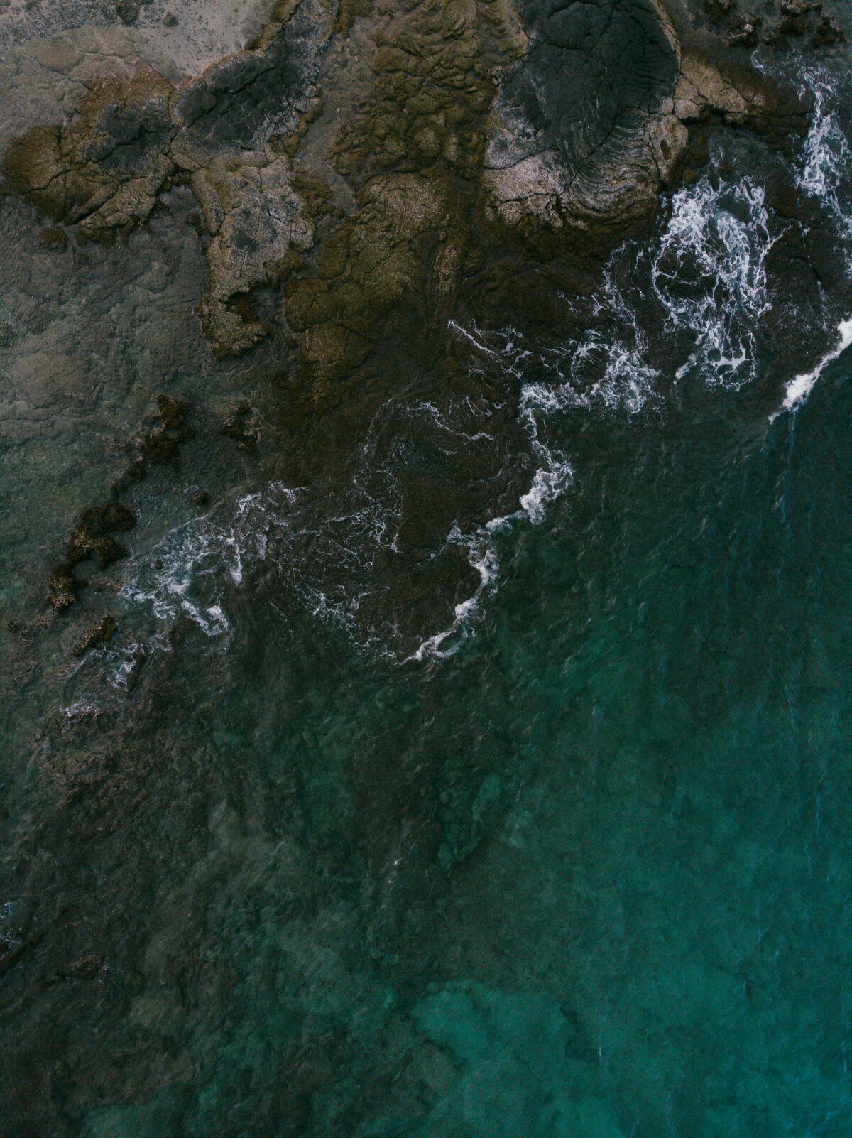 dani_toscano_kona-137