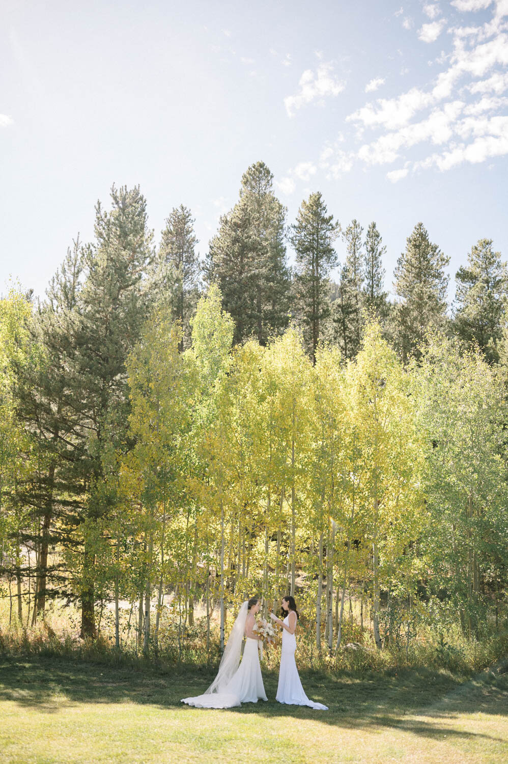 C+A_Camp_Hale_Wedding_Vail_Colorado_by_Diana_Coulter_Web-45