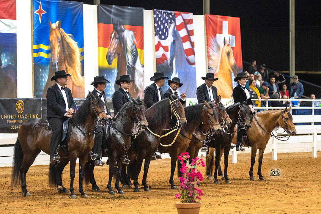 Banners-OPFHA-horse show displays2-LR