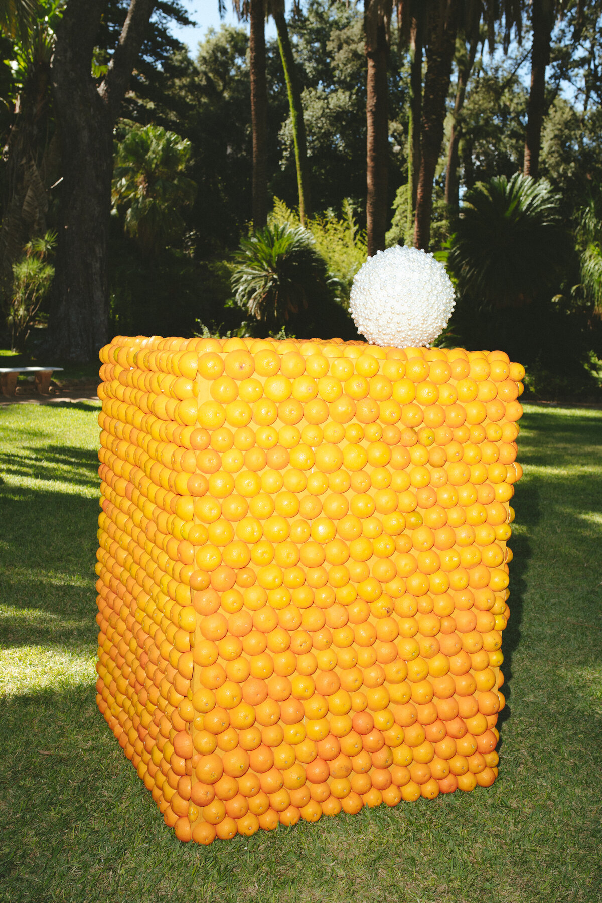 Patricia+Xander-ThePreview-[SvenjaPetersen]-0048