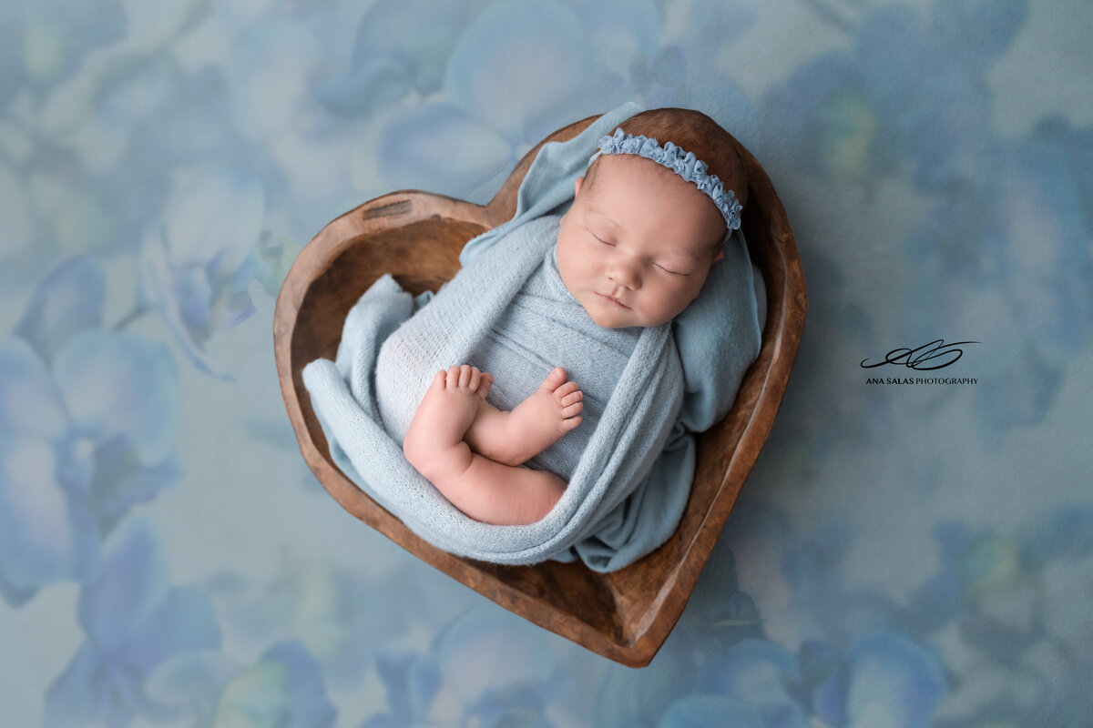 Edmonton Newborn Photography baby in blue