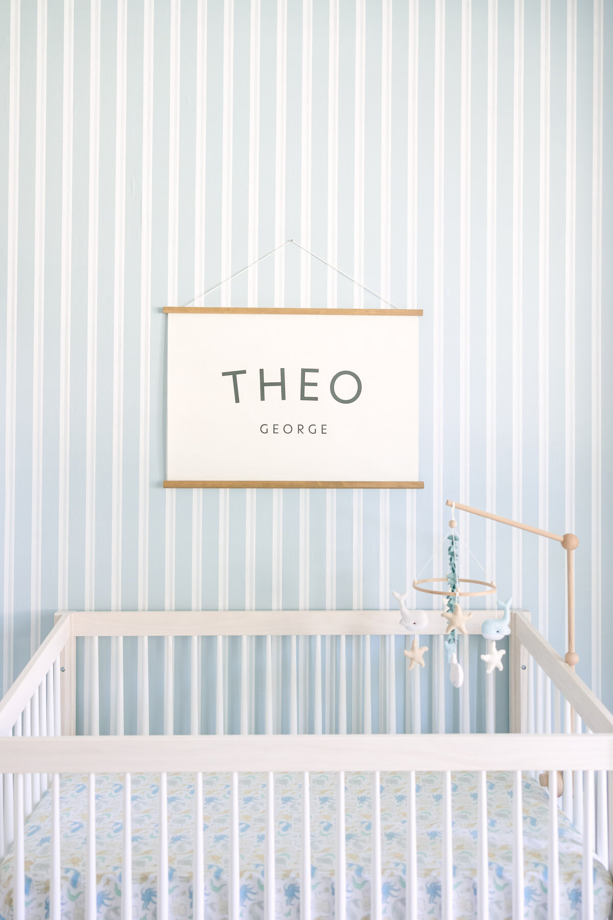 Newell Newborn - Theo-10