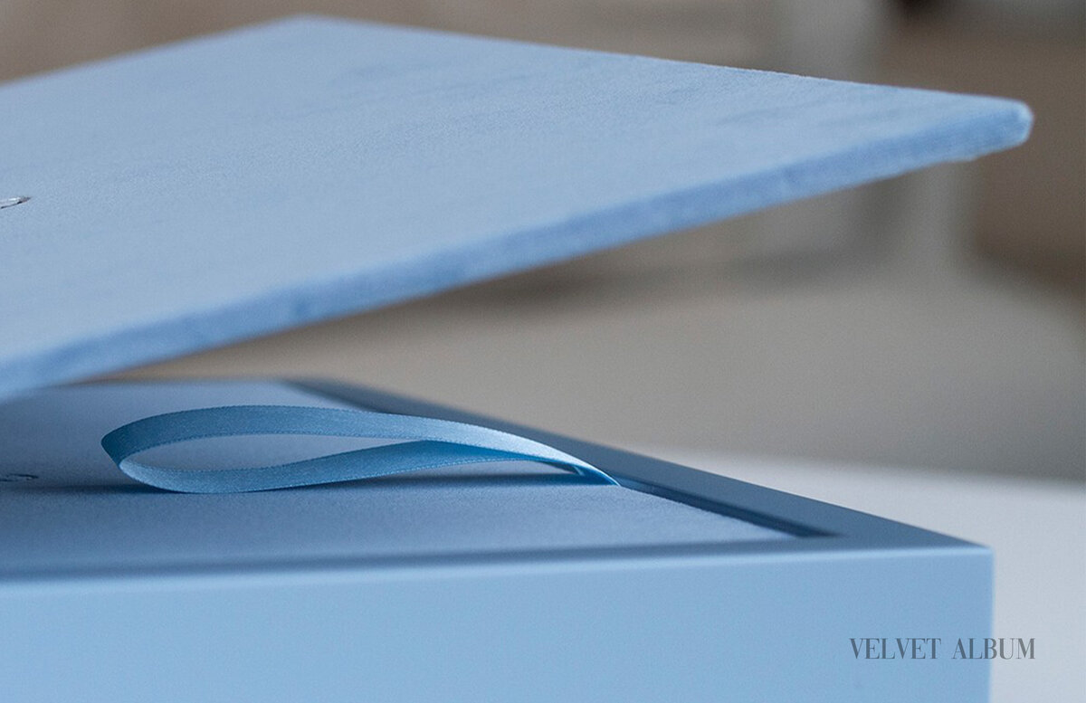 060 - pg 118-119 - Spread - Velvet Album