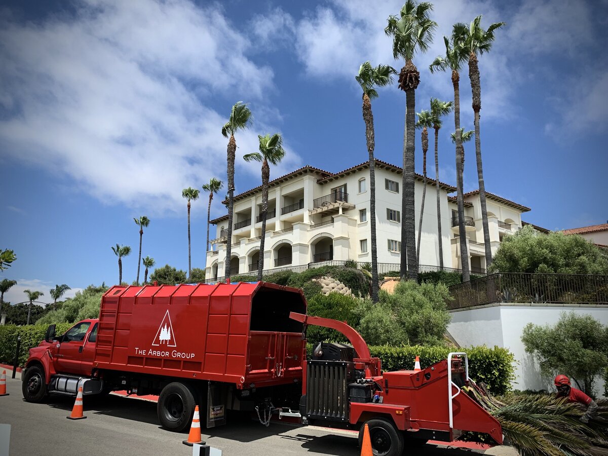 The Arbor Group California's Premier Tree Care Provider