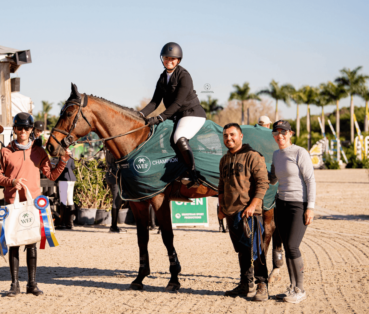 MICHIGAN SHOWJUMPING TEAM, SHOWJUMPING HORSES  (2)